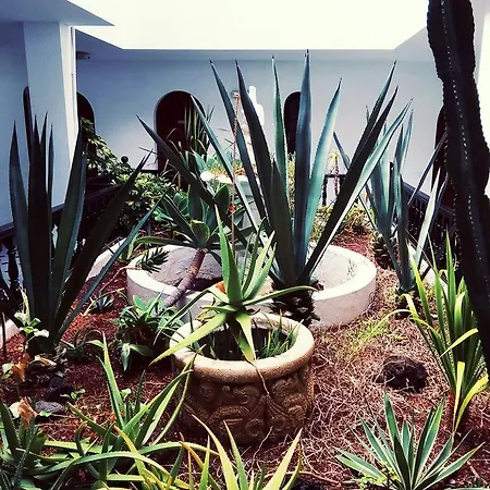 Fuerteventura Calle Bajo Amarillo 27-c 別荘 コラレホ