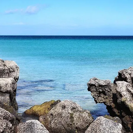 別荘 Fuerteventura Calle Bajo Amarillo 27-c *