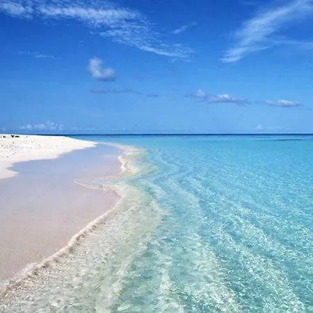 Fuerteventura Calle Bajo Amarillo 27-c كوراليهو