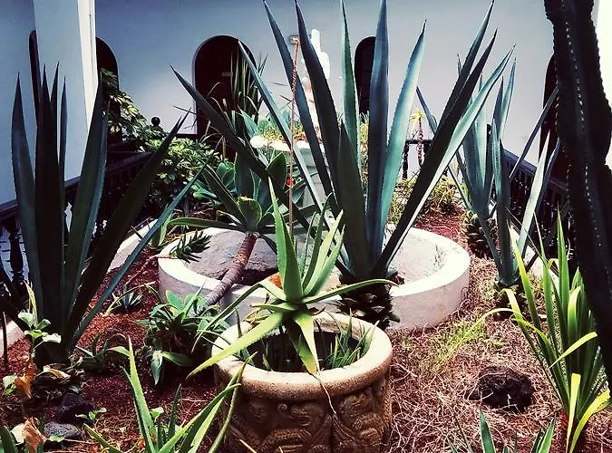 Fuerteventura Calle Bajo Amarillo 27-c Casa vacanze Corralejo