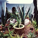 Fuerteventura Calle Bajo Amarillo 27-c Holiday home Corralejo